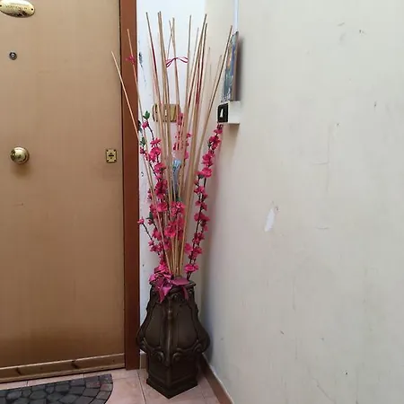 Domus Herculaneum Ercolano